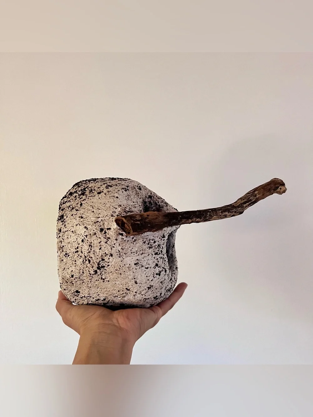 Bespoke Papier-Mache & Driftwood Art Sculpture | Unique Eco DecorDescriptionOne-